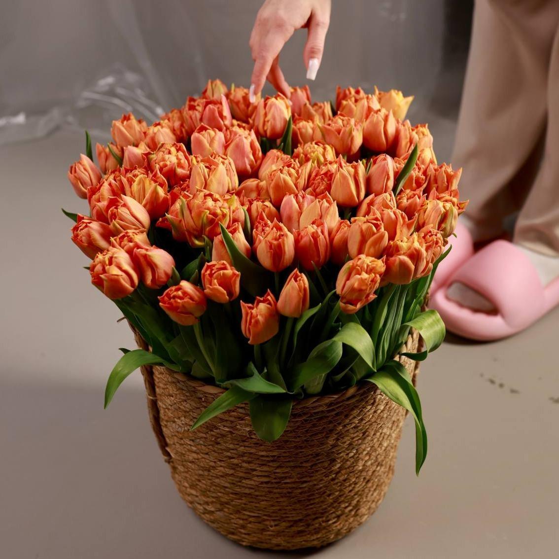 101 тюльпан в корзине