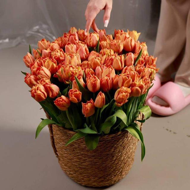 101 тюльпан в корзине