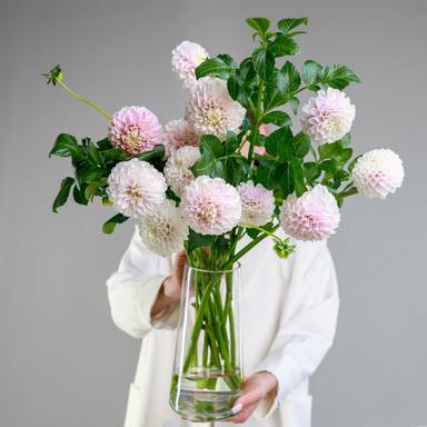 Цветы