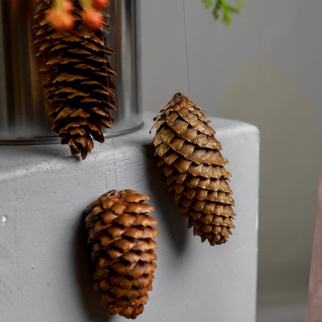 Композиция в банке Елочные шишки