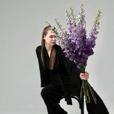 Новинка Новинка